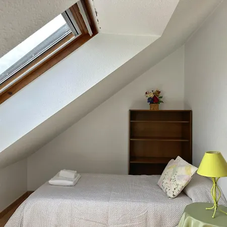 La Cometa De -12016 * 阿霍