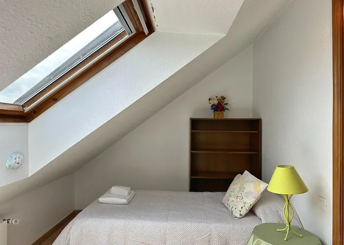 La Cometa De -12016 * アホ